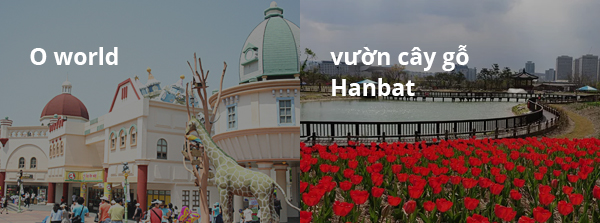 O world / vườn cây gỗ hanbat